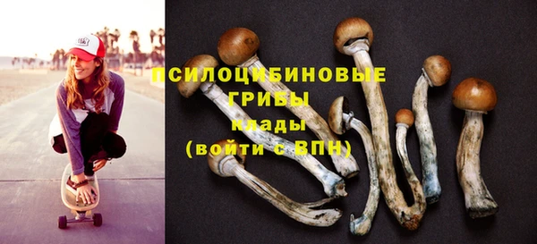 эйфоретик Белоозёрский