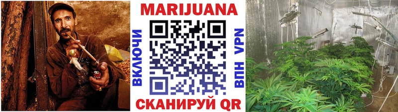 Бошки Шишки семена  Балей 